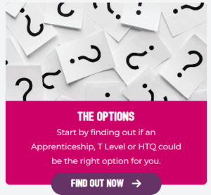 Explore The Options
